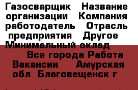 Газосварщик › Название организации ­ Компания-работодатель › Отрасль предприятия ­ Другое › Минимальный оклад ­ 30 000 - Все города Работа » Вакансии   . Амурская обл.,Благовещенск г.